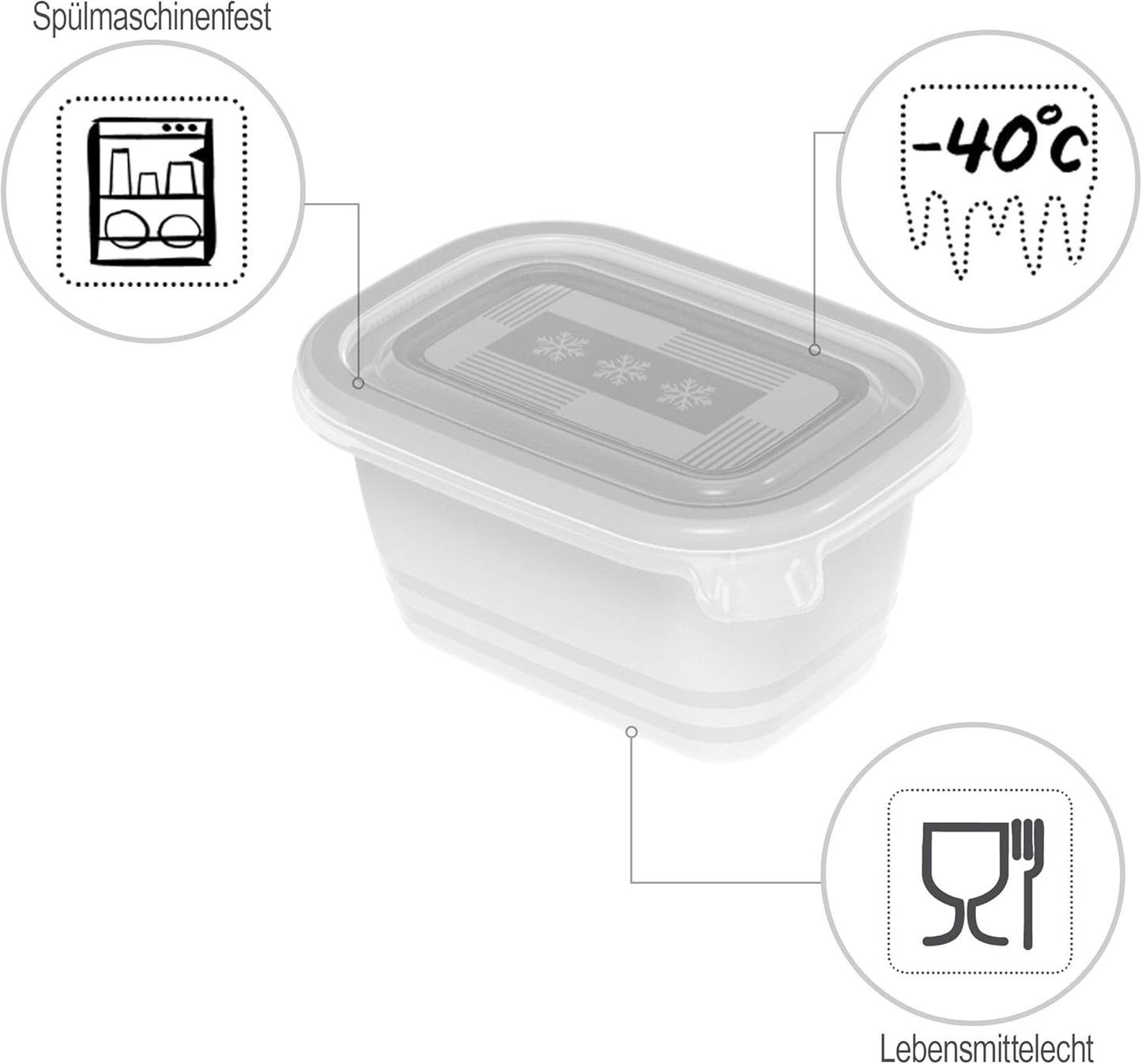 Rotho - Freeze 6er-Set Gefrierboxen 0.25l mit Deckel, Kunststoff (PP) BPA-frei, transparent, 6 x 0.25l (11.2 x 7.8 x 13.2 cm)