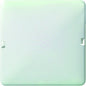 Schneider Electric -  Elso Blindabdeckung rastbar  503014 - 1-Fach, Renovierung - reinweiss